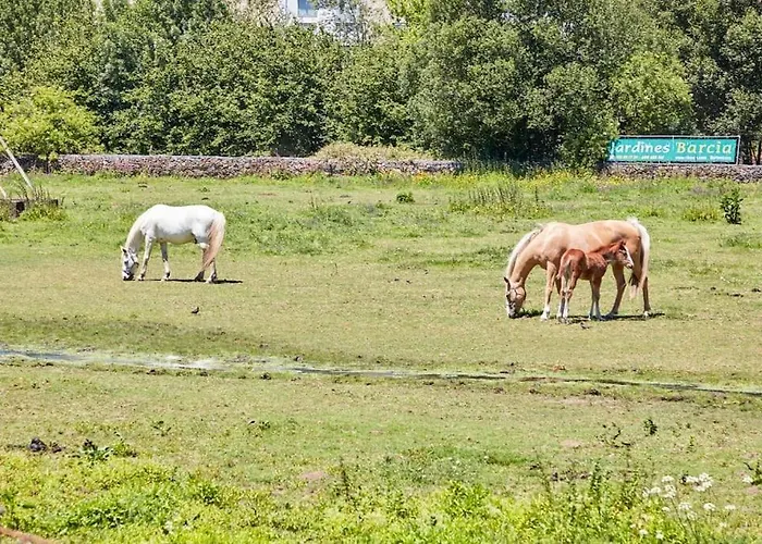 Casa Condomina בית נופש *